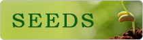 National Initiative for Information on Quality Seeds (Seednet India Portal)